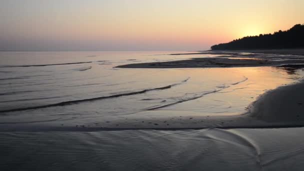 Sol nascendo sobre as árvores na areia da praia molhada com ondas de entrada — Vídeo de Stock