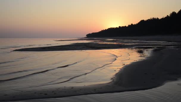 Sun rising over the trees on wet beach sand with incoming waves — Stock Video