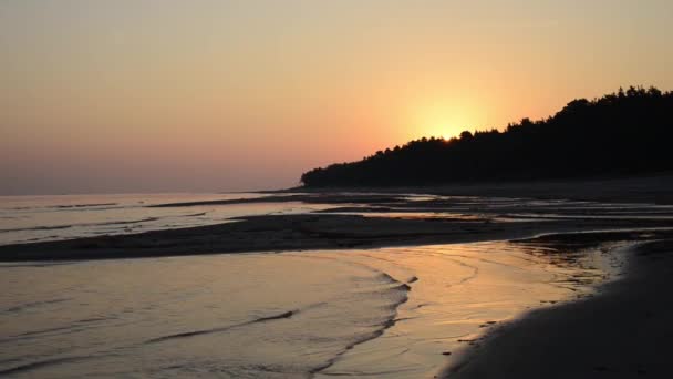 Soleil se levant sur les arbres sur le sable de plage humide avec les vagues entrantes — Video