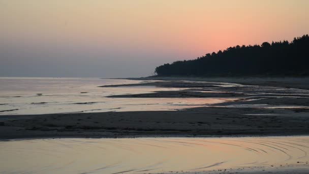 Sun rising over the trees on wet beach sand with incoming waves — Stock Video