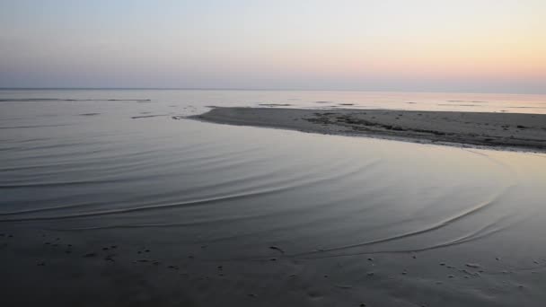 Soleil se levant sur les arbres sur le sable de plage humide avec les vagues entrantes — Video