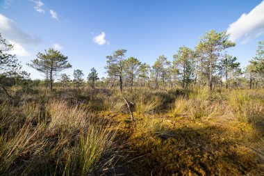 Sabah bulutlu gökyüzü altında yatay