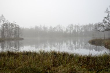 Ağaçlar yansımaları ile sonbahar Gölü