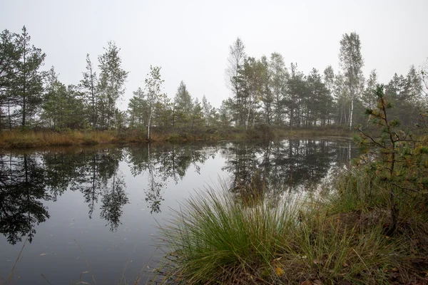 Lago autunnale con riflessi di alberi — Foto Stock