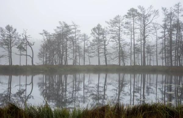 Herfst lake met reflecties van bomen — Stockfoto