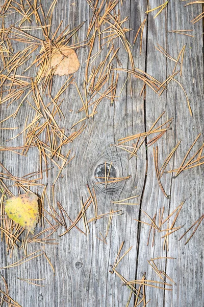 Oude houten planken bedekt met bladeren — Stockfoto