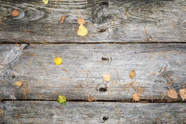 Stare drewniane deski pokryte liśćmi — Zdjęcie stockowe