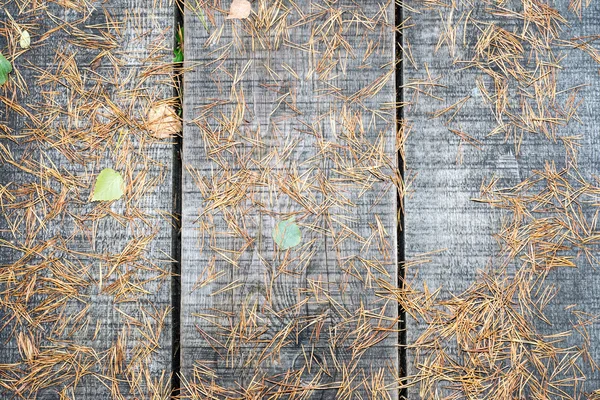 Vecchie tavole di legno ricoperte di foglie — Foto Stock