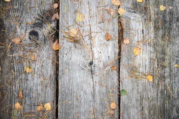 Alte Holzbohlen mit Blättern bedeckt — Stockfoto