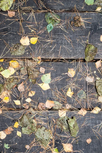 Alte Holzbohlen mit Blättern bedeckt — Stockfoto