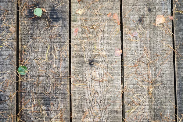 Oude houten planken bedekt met bladeren — Stockfoto