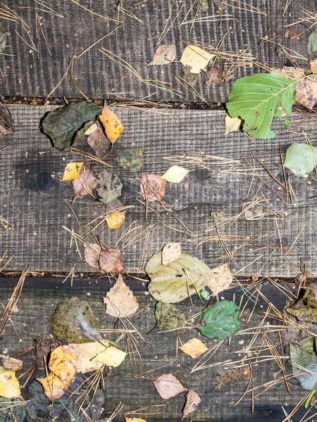 Stare drewniane deski pokryte liśćmi — Zdjęcie stockowe