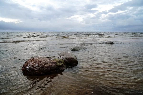 Wet rocks on the beach in water — Stock Photo, Image