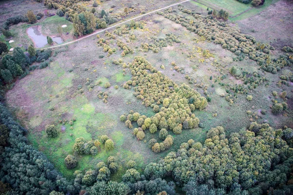 Foreste e campi dall'alto — Foto Stock