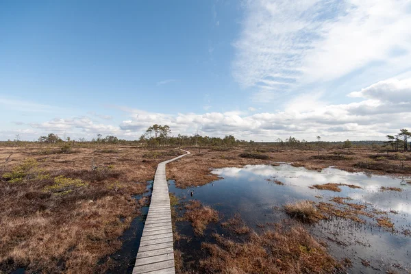 Moeras weergave met bomen en de promenade — Stockfoto