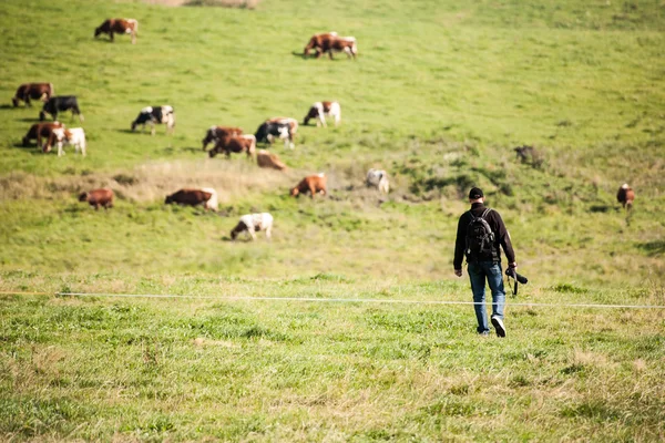 Fotógrafo trabalhando no campo com tripé — Fotografia de Stock