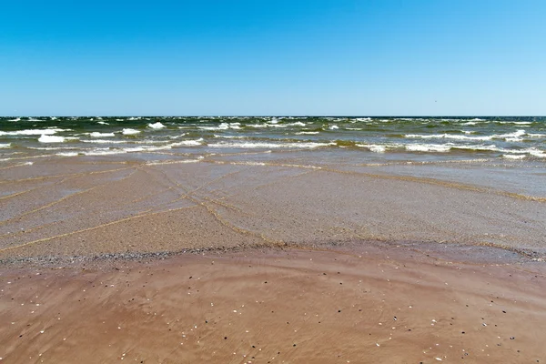 Playa de mar báltico con rocas y madera vieja — Foto de Stock