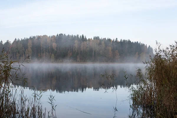 Dimmig morgon vid sjön i land — Stockfoto
