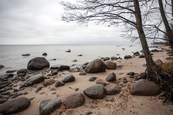 Plage rocheuse en mer baltique — Photo