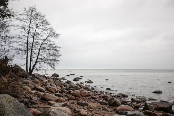 Plage rocheuse en mer baltique — Photo