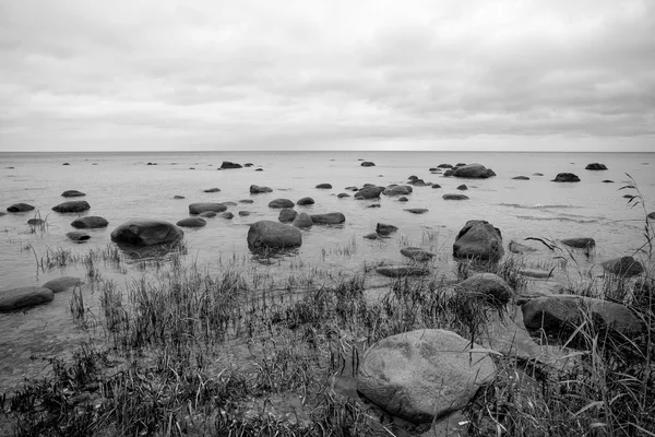 Skalista plaża w Bałtyku — Zdjęcie stockowe