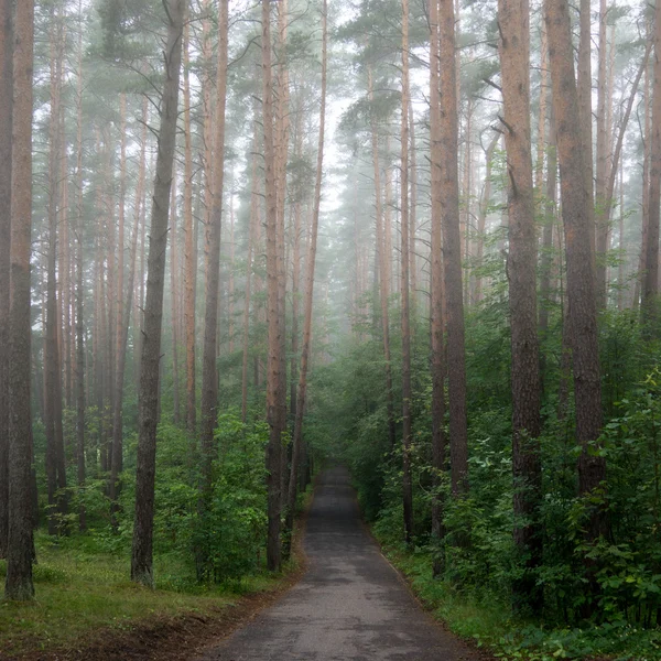 Природний ландшафт сільських — стокове фото