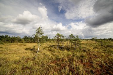 göller ve patika ile bataklık görünümü