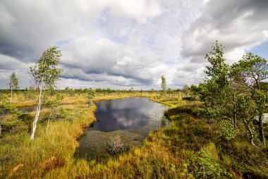 göller ve patika ile bataklık görünümü