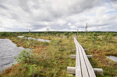göller ve patika ile bataklık görünümü