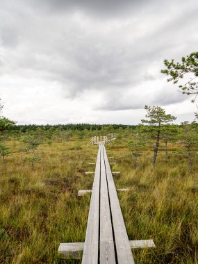 göller ve patika ile bataklık görünümü