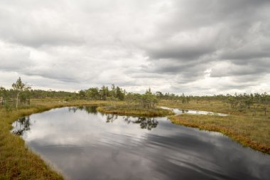 göller ve patika ile bataklık görünümü
