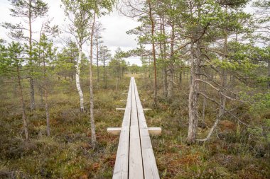göller ve patika ile bataklık görünümü