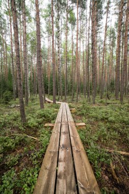 göller ve patika ile bataklık görünümü