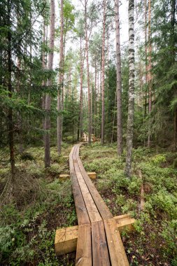 göller ve patika ile bataklık görünümü
