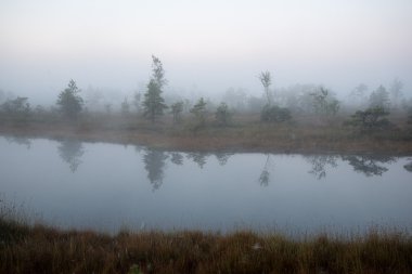 sisli bataklık Gölü'nün güzel sakin manzara