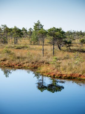 sisli bataklık Gölü'nün güzel sakin manzara