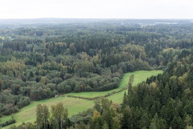 ormanlar ve alanları yukarıdan