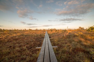 Bataklık üzerinde ahşap patika