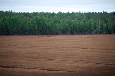 Doğal kırsal manzara
