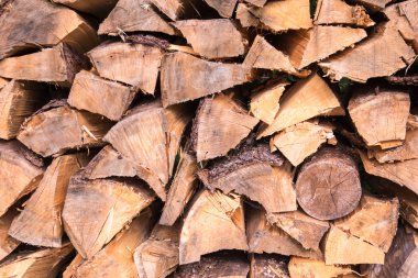 Ladin ormanı içinde yığın odun