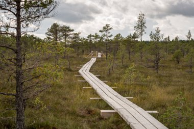 göller ve patika ile bataklık görünümü
