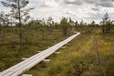 göller ve patika ile bataklık görünümü