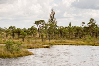 göller ve patika ile bataklık görünümü