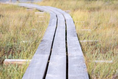 göller ve patika ile bataklık görünümü