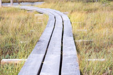 göller ve patika ile bataklık görünümü
