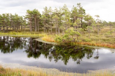 göller ve patika ile bataklık görünümü