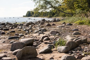 Baltık Denizi kayalık plaj