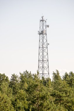 kum ve perspektif plaj manzarası