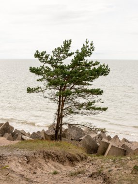 Baltık Denizi kayalık plaj