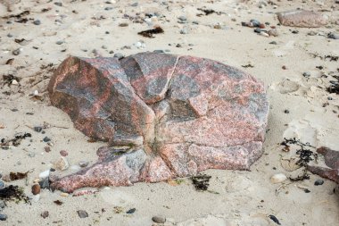 Baltık Denizi kayalık plaj